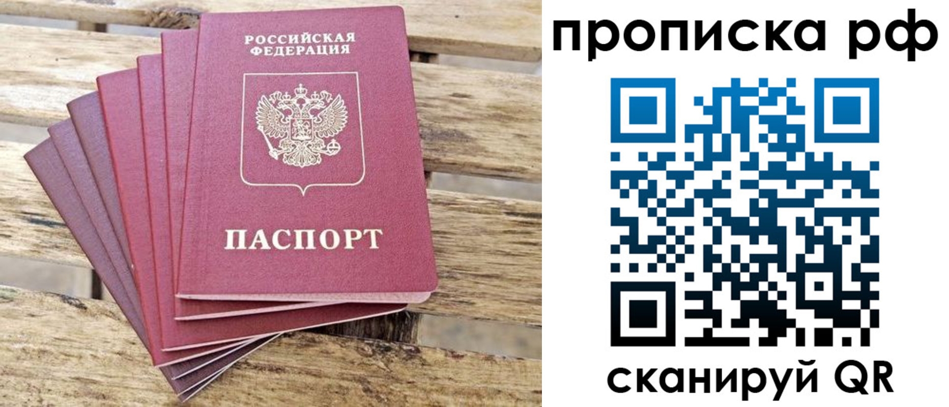 прописка гарантия в Калтане